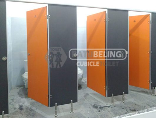 TWO TONE BG-2